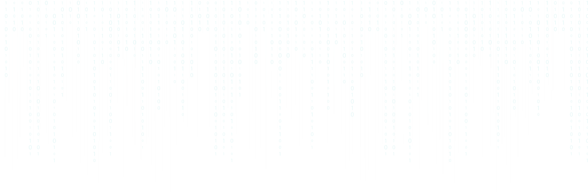 Expert {Full Stack} Web & App Developer